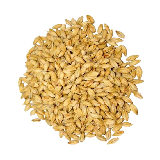 Malta Munich Patagonia