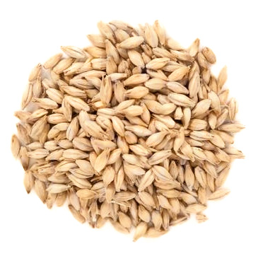 Saco Malta Pislen Castle Malting